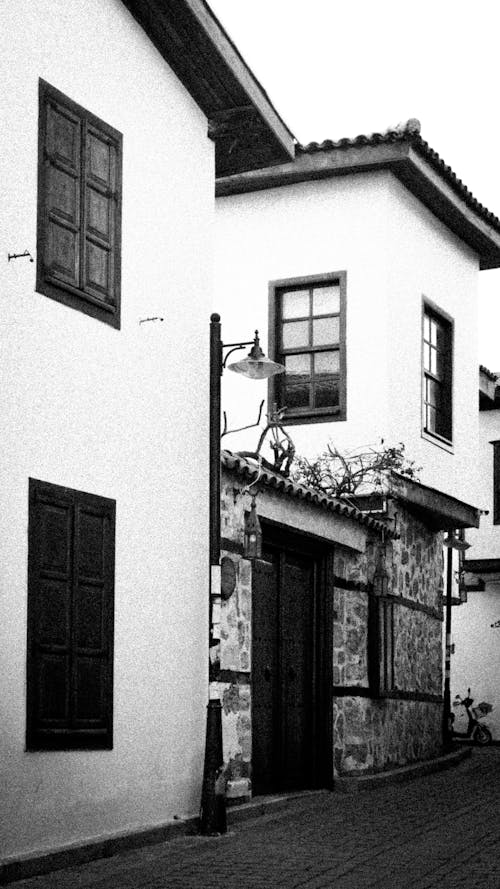 Houses in Town in Black and White