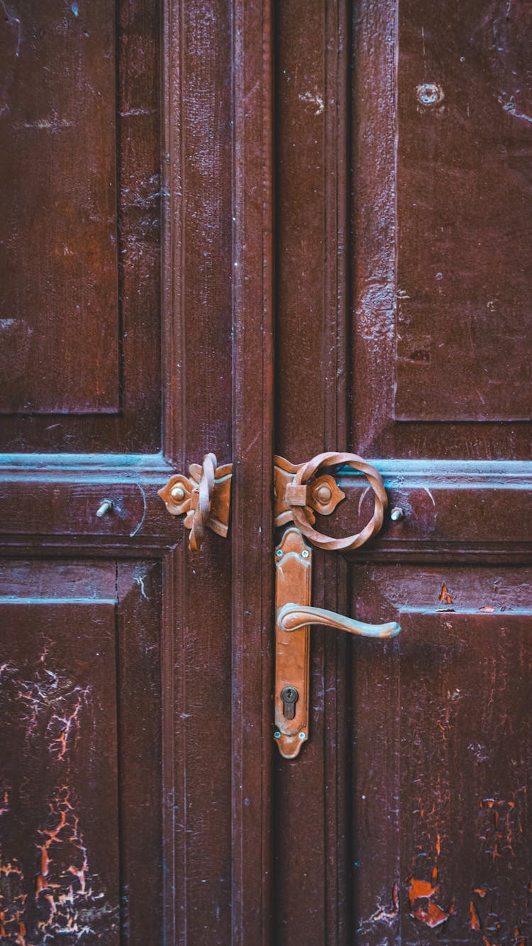 Wooden Solid Door