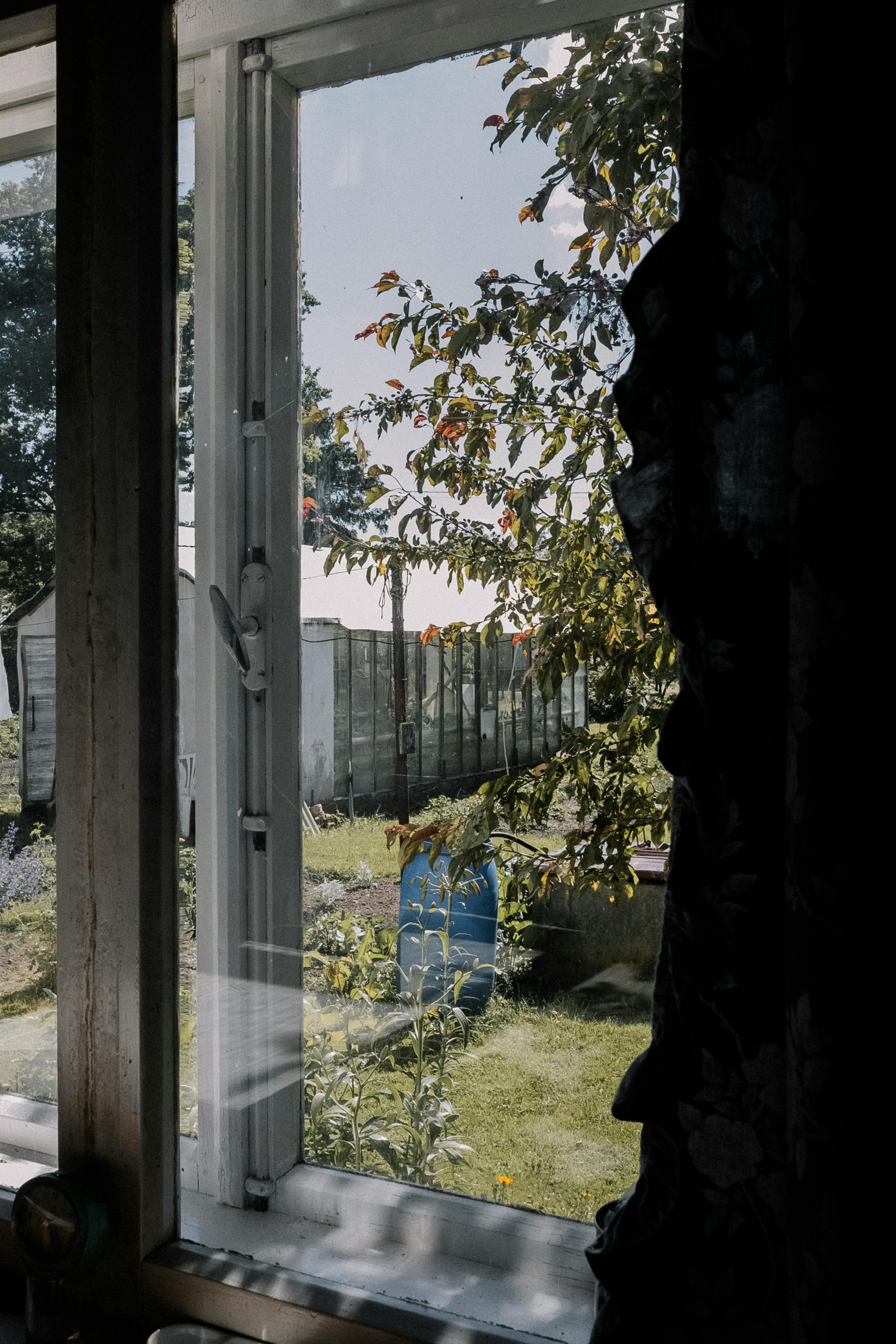 grátis Foto profissional grátis de ao ar livre, ar fresco, árvore Foto profissional