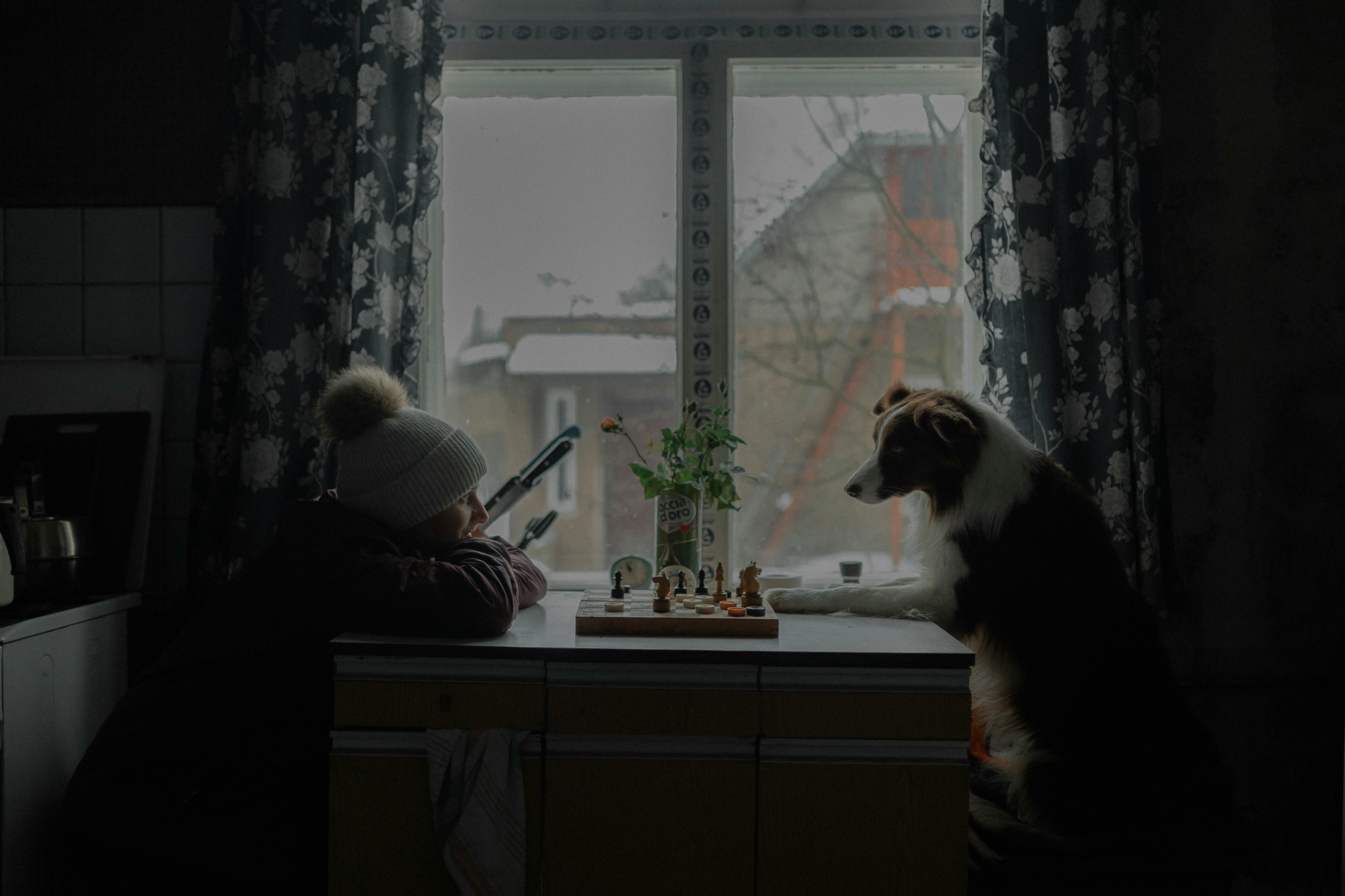 grátis Foto profissional grátis de #interior, aconchego, amizade Foto profissional