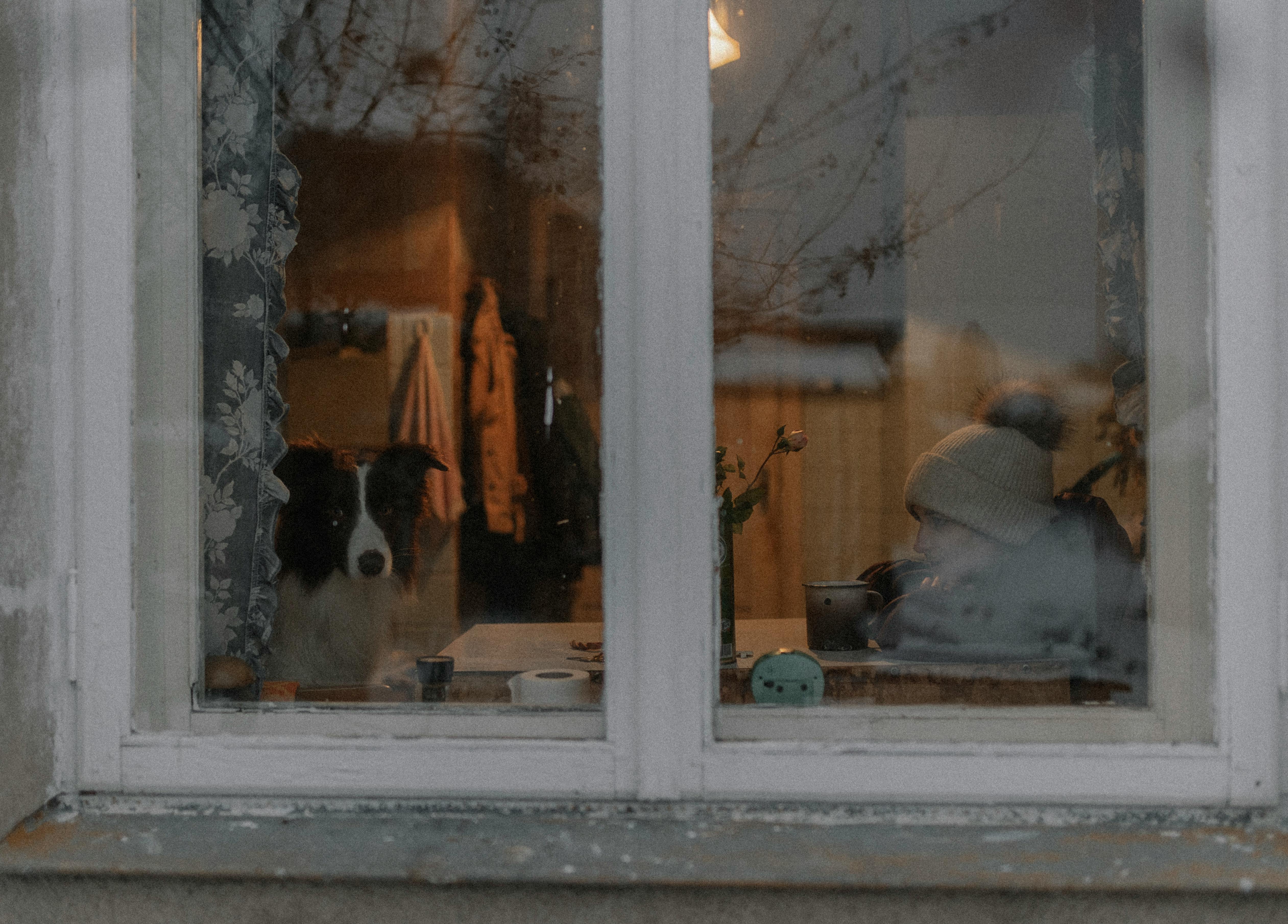 Kostenlos Kostenloses Stock Foto zu #indoor, abend, außenreflexion Stock-Foto