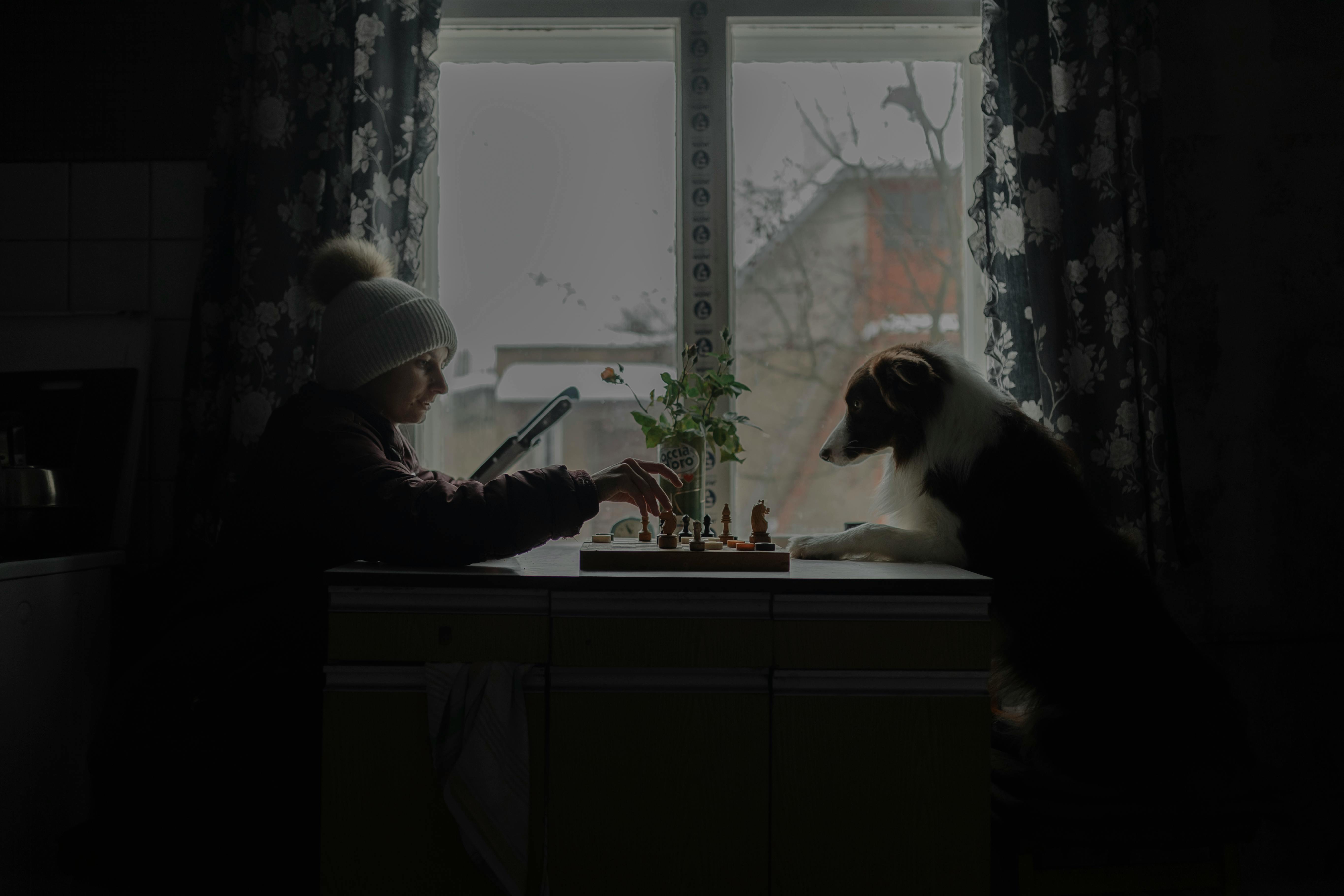 grátis Ogro Foto profissional