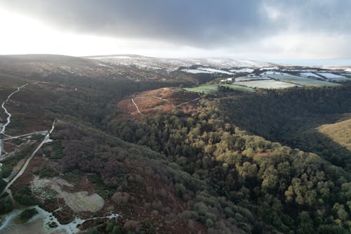 Exmoor in Winter