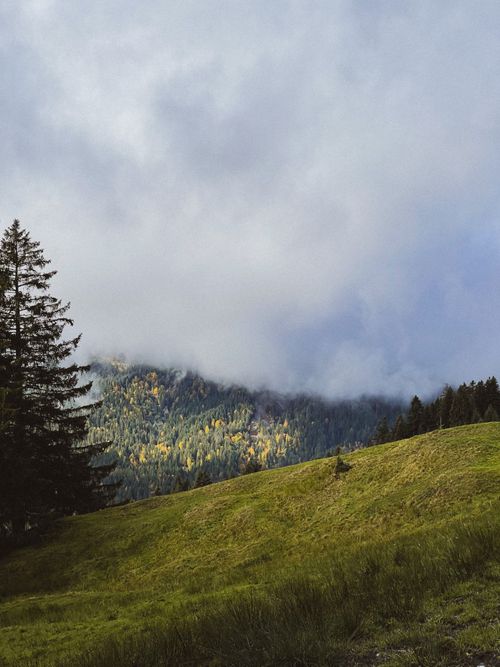 Free A serene landscape of green hills with misty mountains in Sonthofen, Germany. Stock Photo