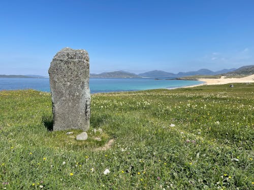 Stone on Grass Near Seashore