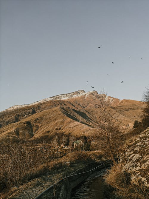 丘, 垂直ショット, 山の無料の写真素材