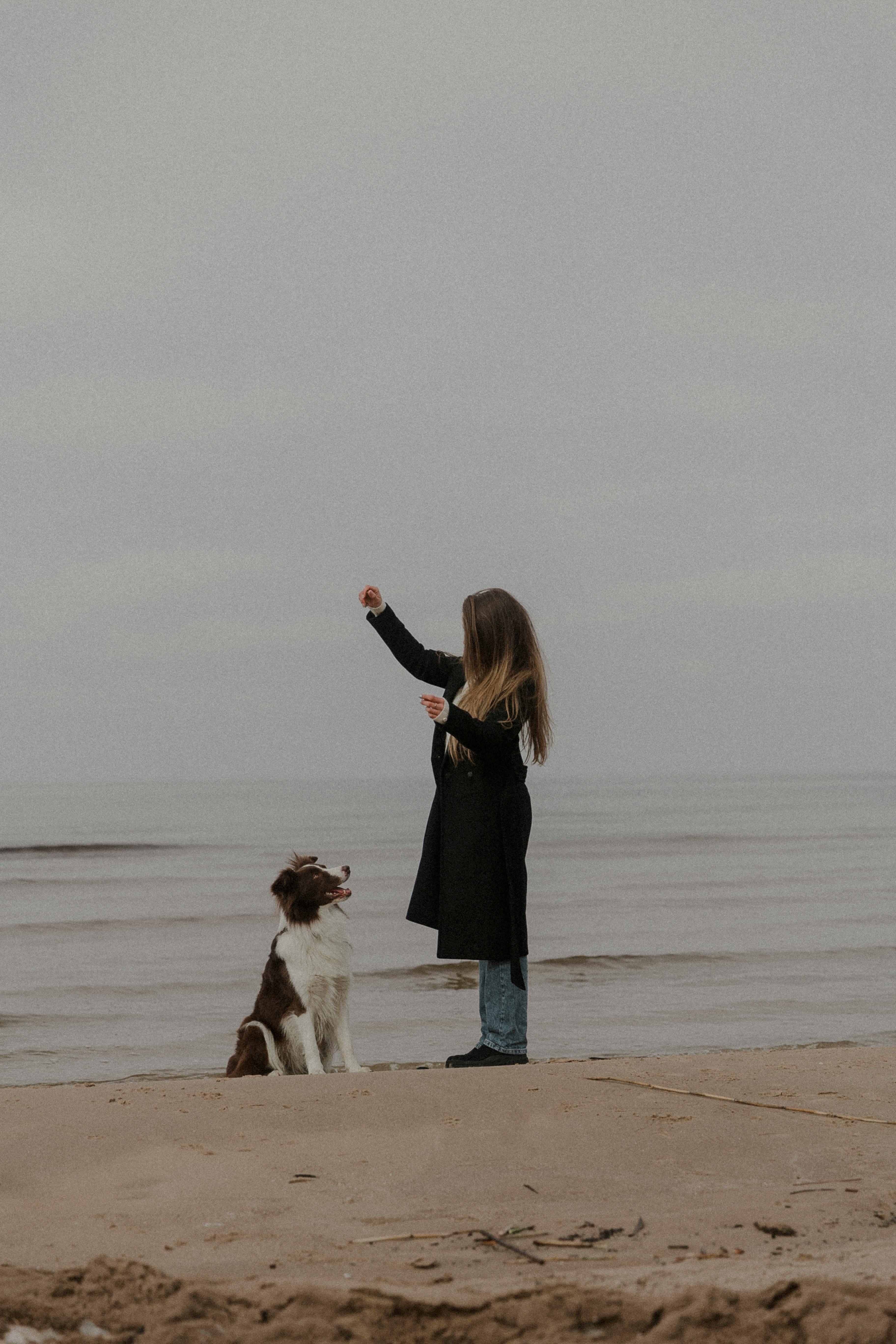 Gratis Immagine gratuita di abbigliamento casual, amicizia, animale domestico Foto a disposizione