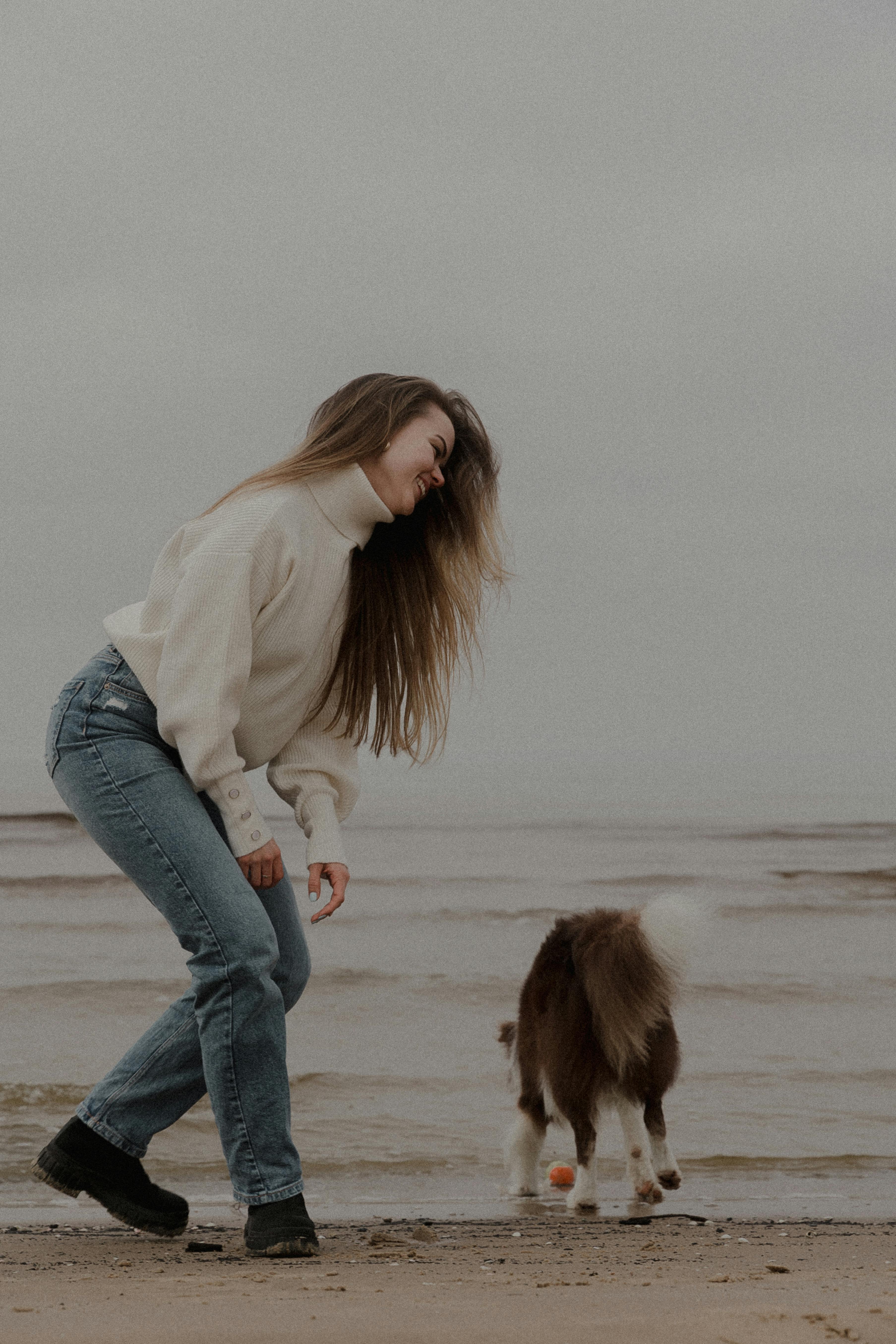 Gratis Immagine gratuita di acqua, animale, animale domestico Foto a disposizione