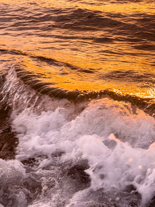 ウェーブブレーカー, ゴールデンホライズン, ビーチの波の無料の写真素材