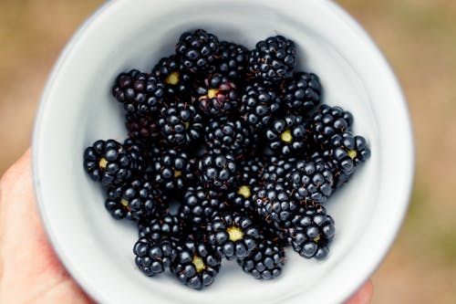 ビタミン, ブラックベリー, フルーツの無料の写真素材