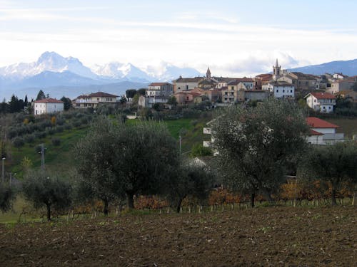 Základová fotografie zdarma na téma abruzzi, adriatica, alba