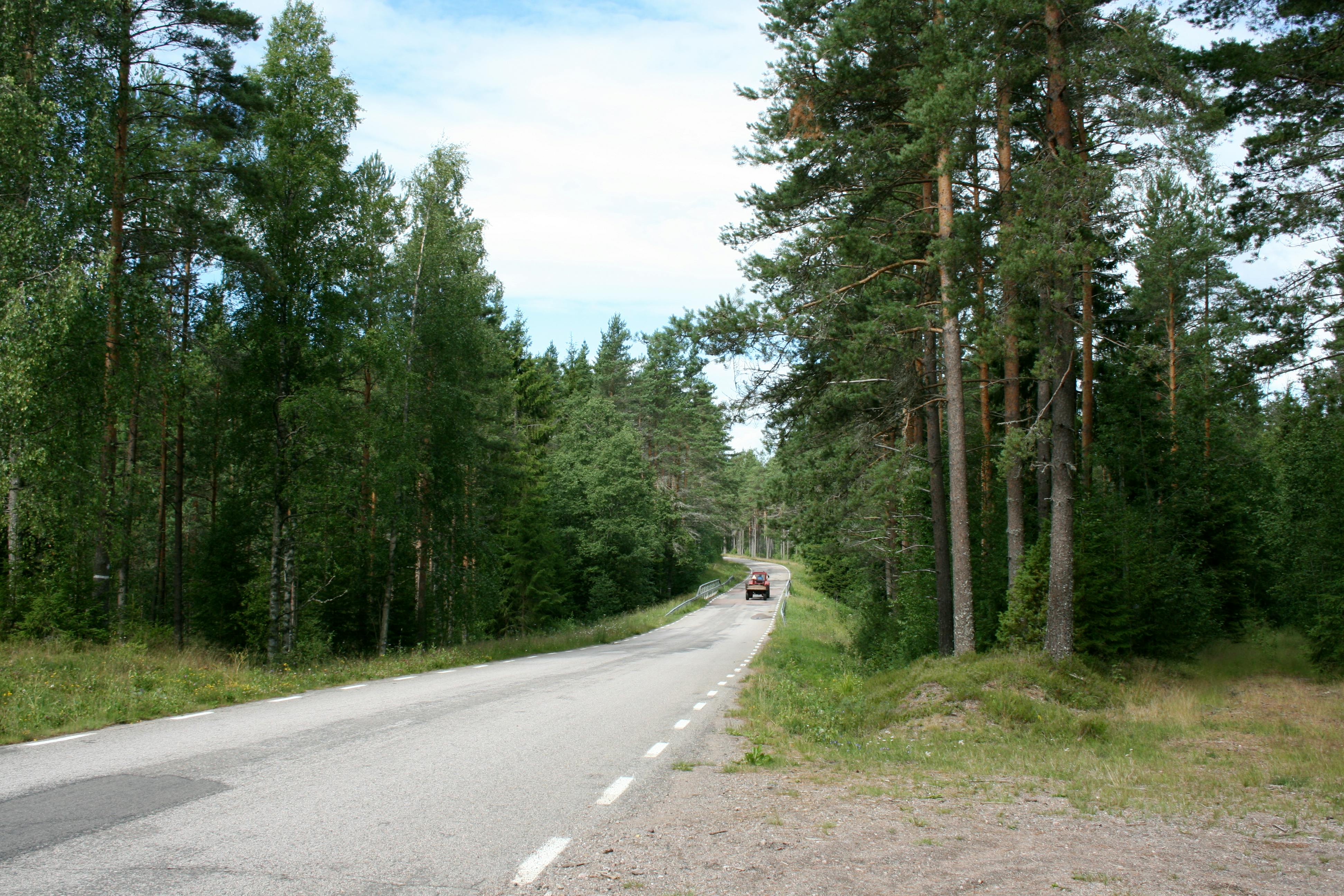 Quiet rural road winding through lush Swedish forest. Ideal for travel and nature themes.