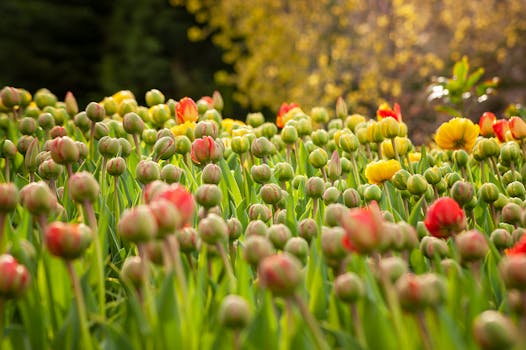 ¿Qué significa soñar con flores de colores?