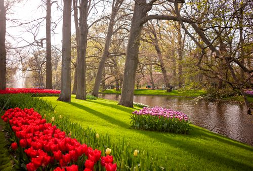 Entrance to Keukenhof Tulip Festival 2027