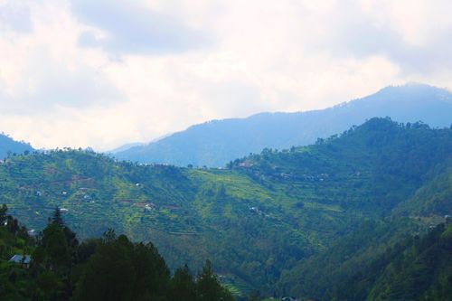 Free Himachal Stock Photo