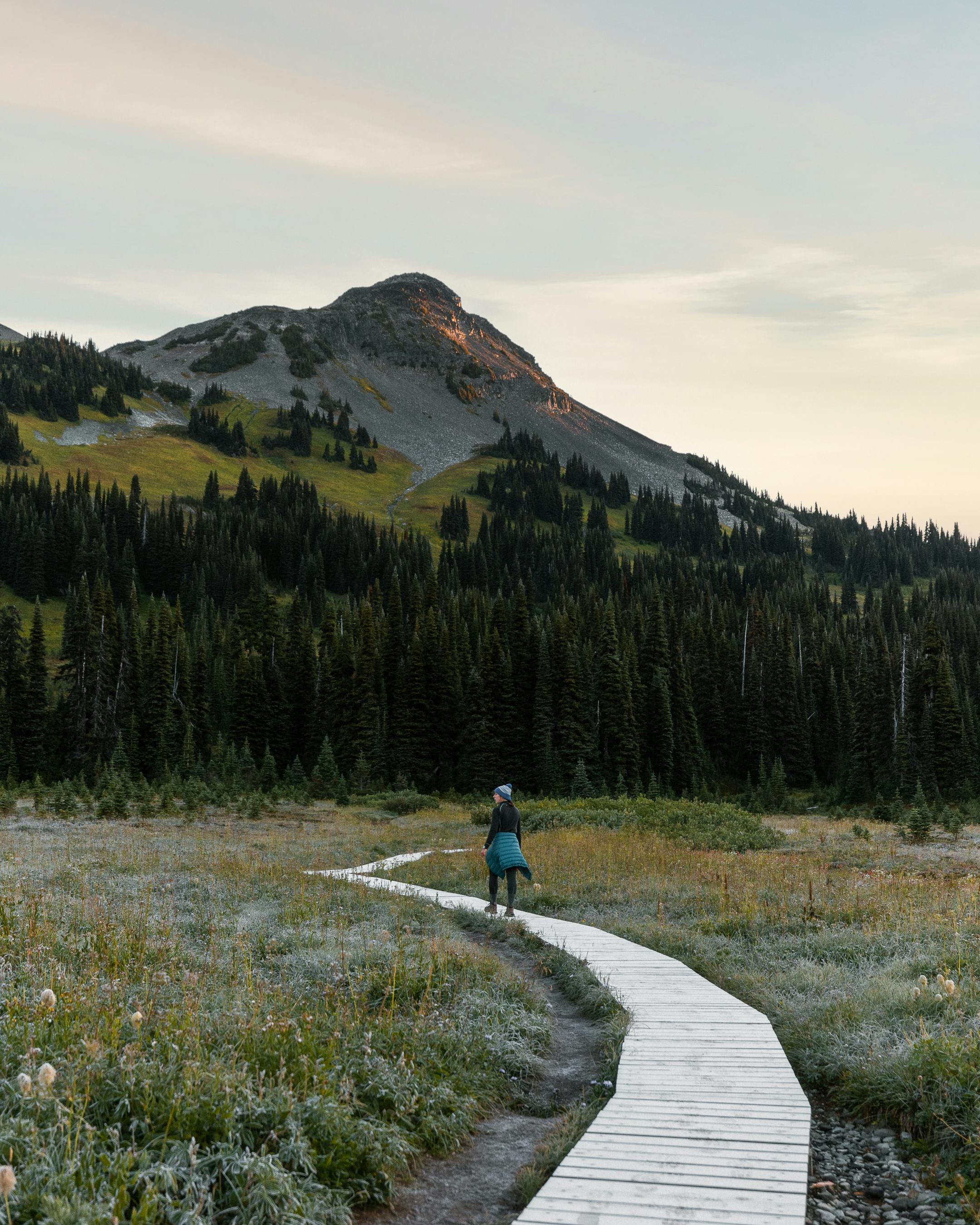 Hiking Trail Photos, Download The BEST Free Hiking Trail Stock Photos ...