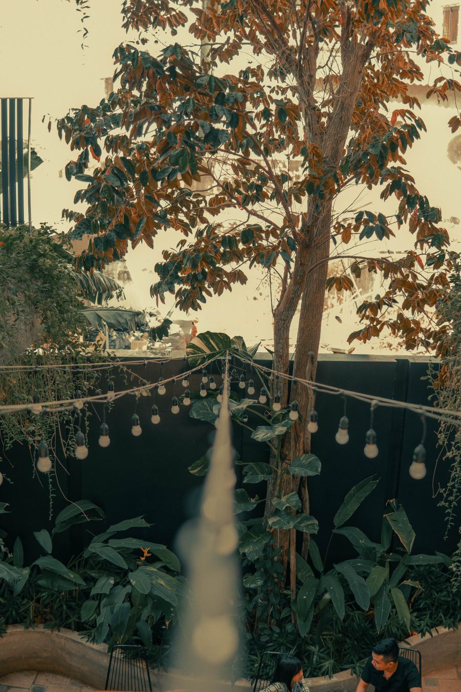 A garden courtyard strung with lights