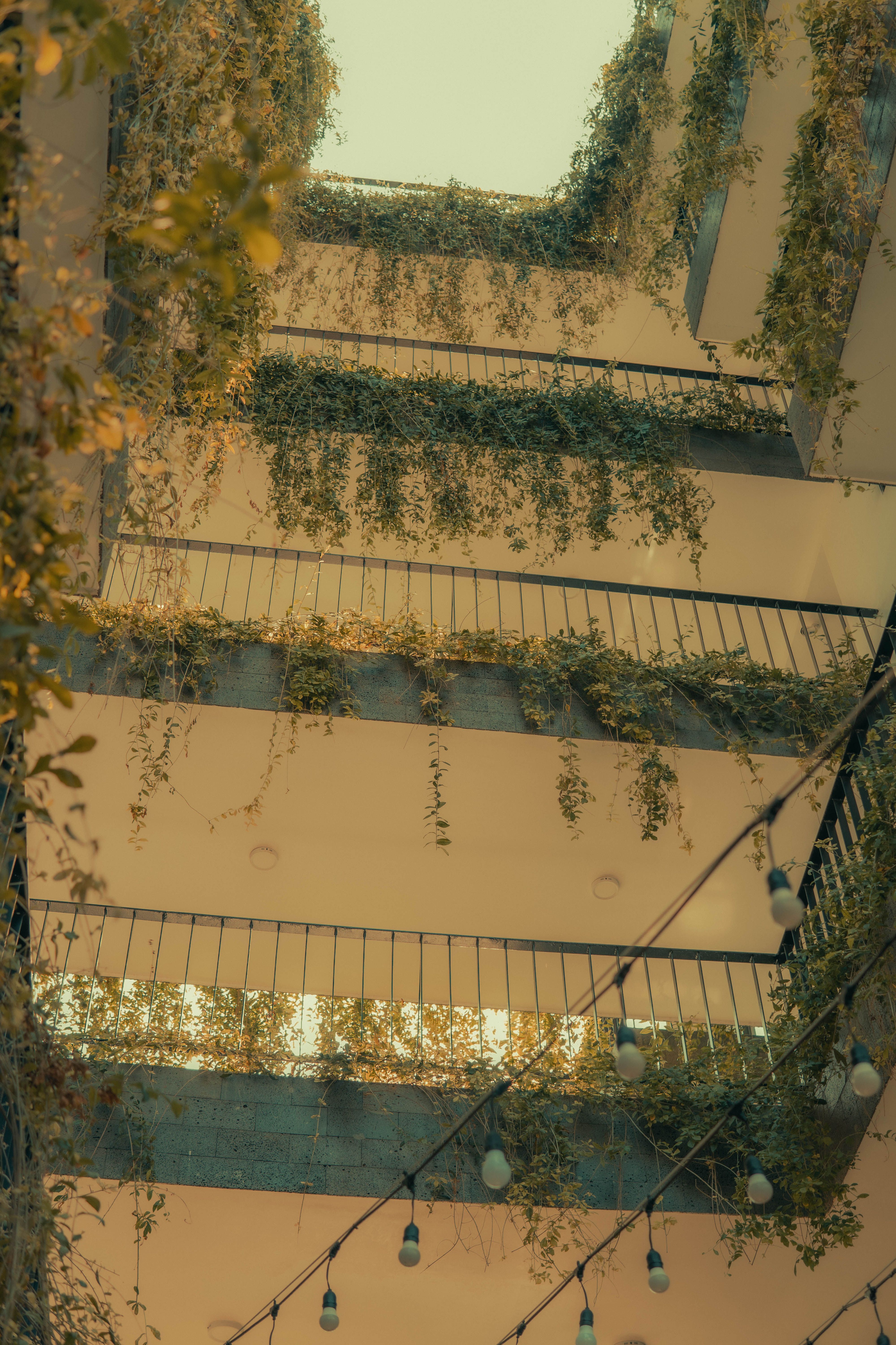 Low angle shot of a building facade with ivy and light bulbs in Vũng Tàu, Vietnam.