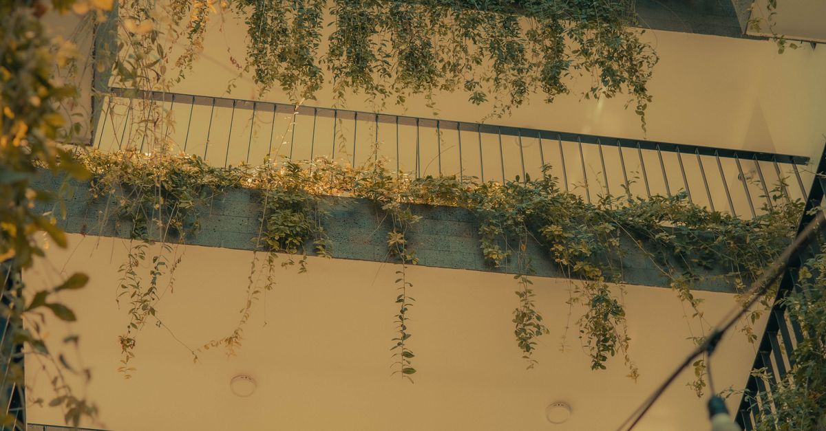 Low angle shot of a building facade with ivy and light bulbs in Vũng Tàu, Vietnam.