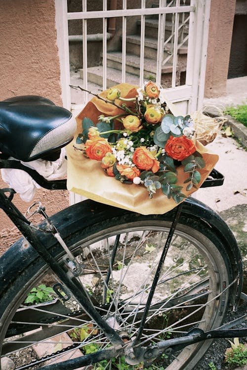 Immagine gratuita di avviare, bicicletta, bouquet
