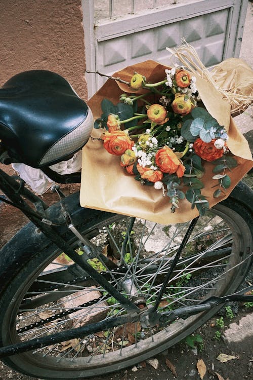 Immagine gratuita di avviare, bicicletta, bouquet