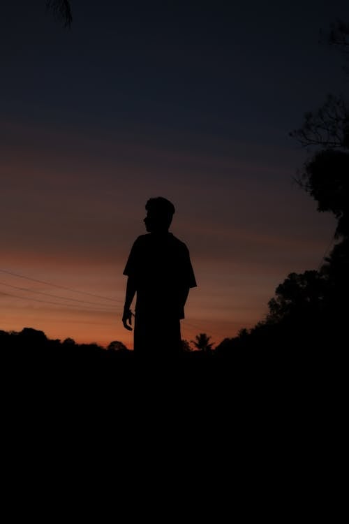 Silhouette of a Person and Trees at Sunset
