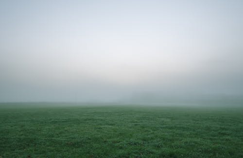 免費 白色和灰色的天空下的綠草田的選擇性攝影 圖庫相片