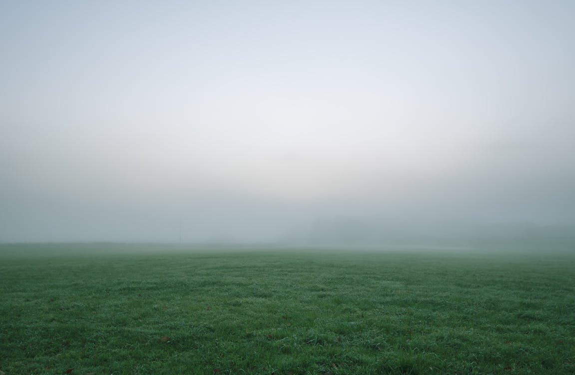 Селективная фотография поля зеленой травы под белым и серым небом