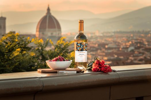 Chianti wine day with a sommelier — Florence