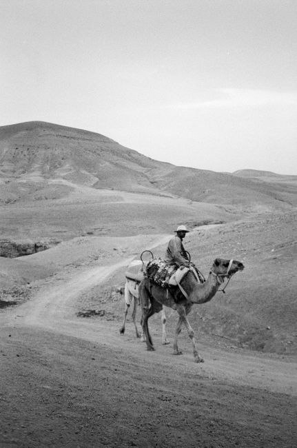 A man riding a camel through a vast desert, captured in black and white for a timeless feel.