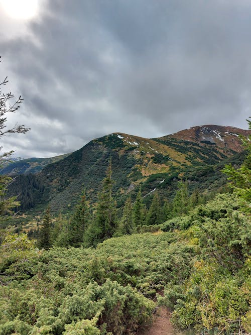 Picturesque Mountain Landscape