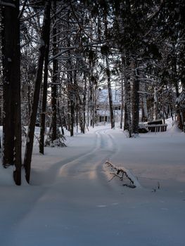 A serene winter pathway through a snow-covered forest in Sainte-Agathe-des-Monts, Canada.