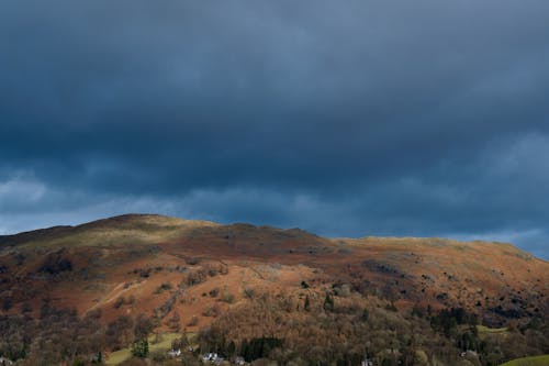 View of Hills Covered in Autumnal Trees under a Dark, Cloudy Sky 
