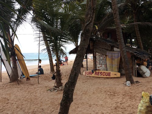 Palm Trees and a Wooden Hut on the Beach 