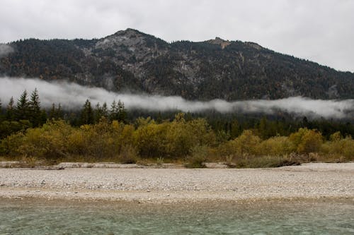 Low Clouds over the Trees and Mountains 