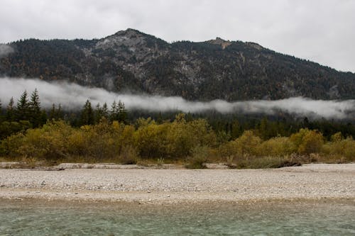 Immagine gratuita di acqua, alberi, bellezza