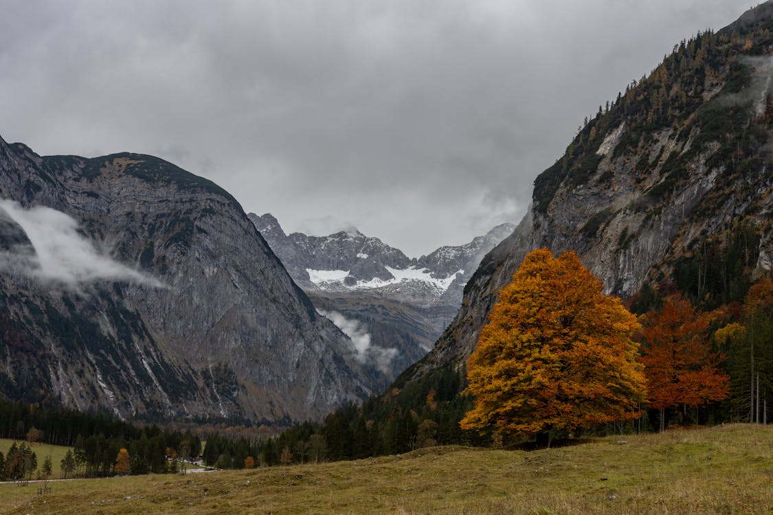 Gratis lagerfoto af bane, bjerge, bjergkæde