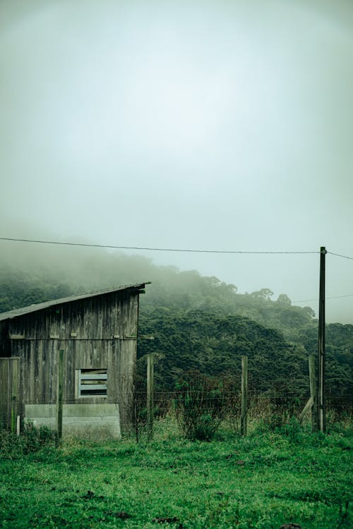 Wooden Hut in Countryside on Foggy Day