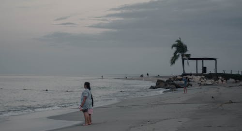 Kostnadsfri bild av hav, kvinna, palmträd