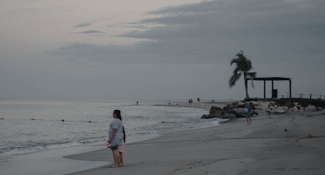 Serene view of a beach at dusk with people enjoying the seaside and a lone palm tree.