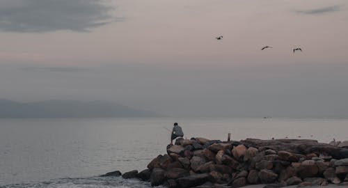 Back View of a Man Sitting on a Rocky Shore and Fishing 