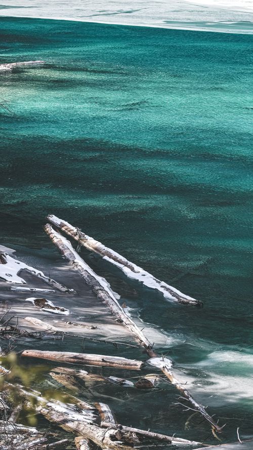 Free Captivating winter seascape featuring frozen driftwood along an icy shore. Stock Photo