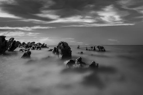 Rocks Covered With Fog