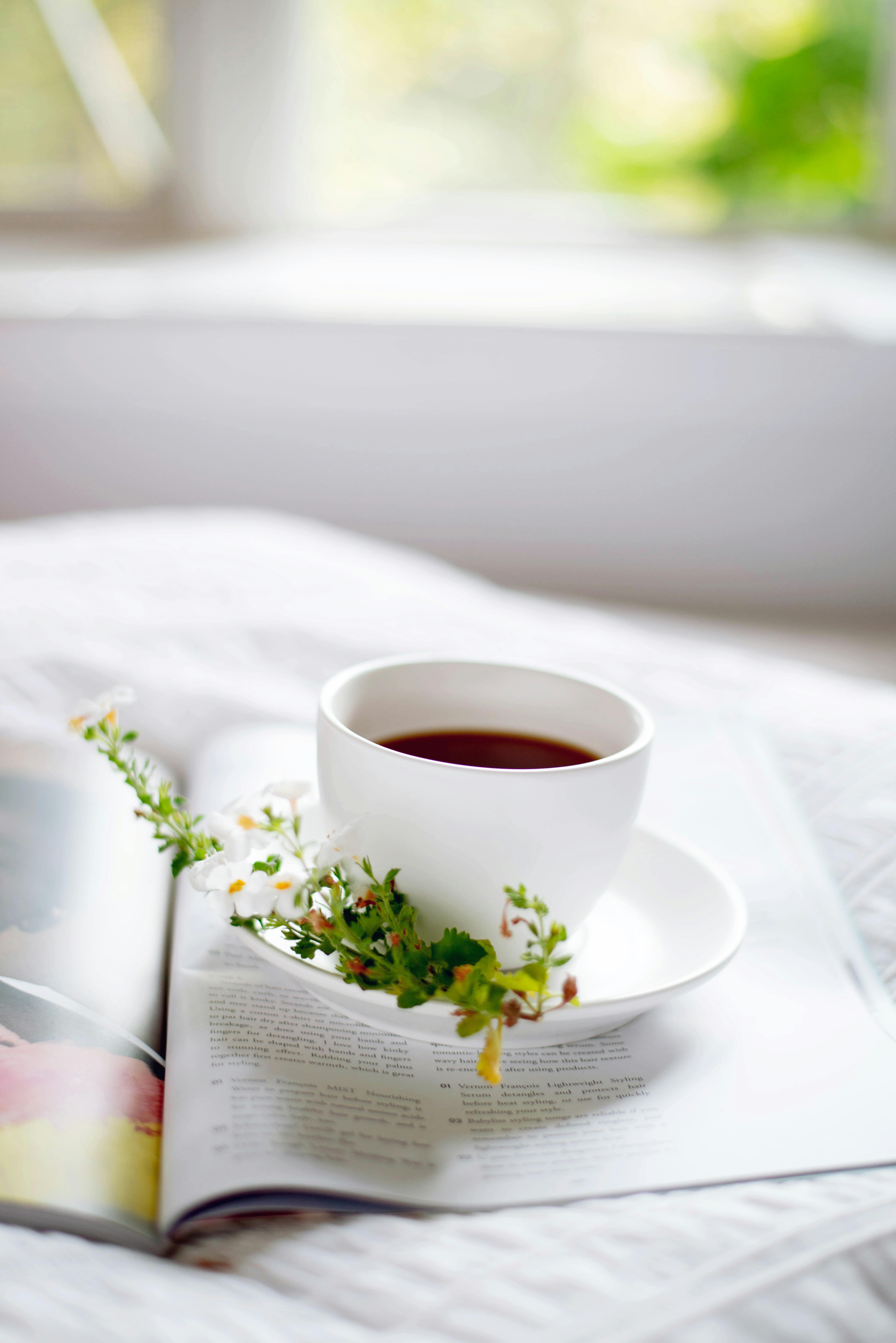 A warm cup of tea on a magazine with herbs in a bright, cozy setting.