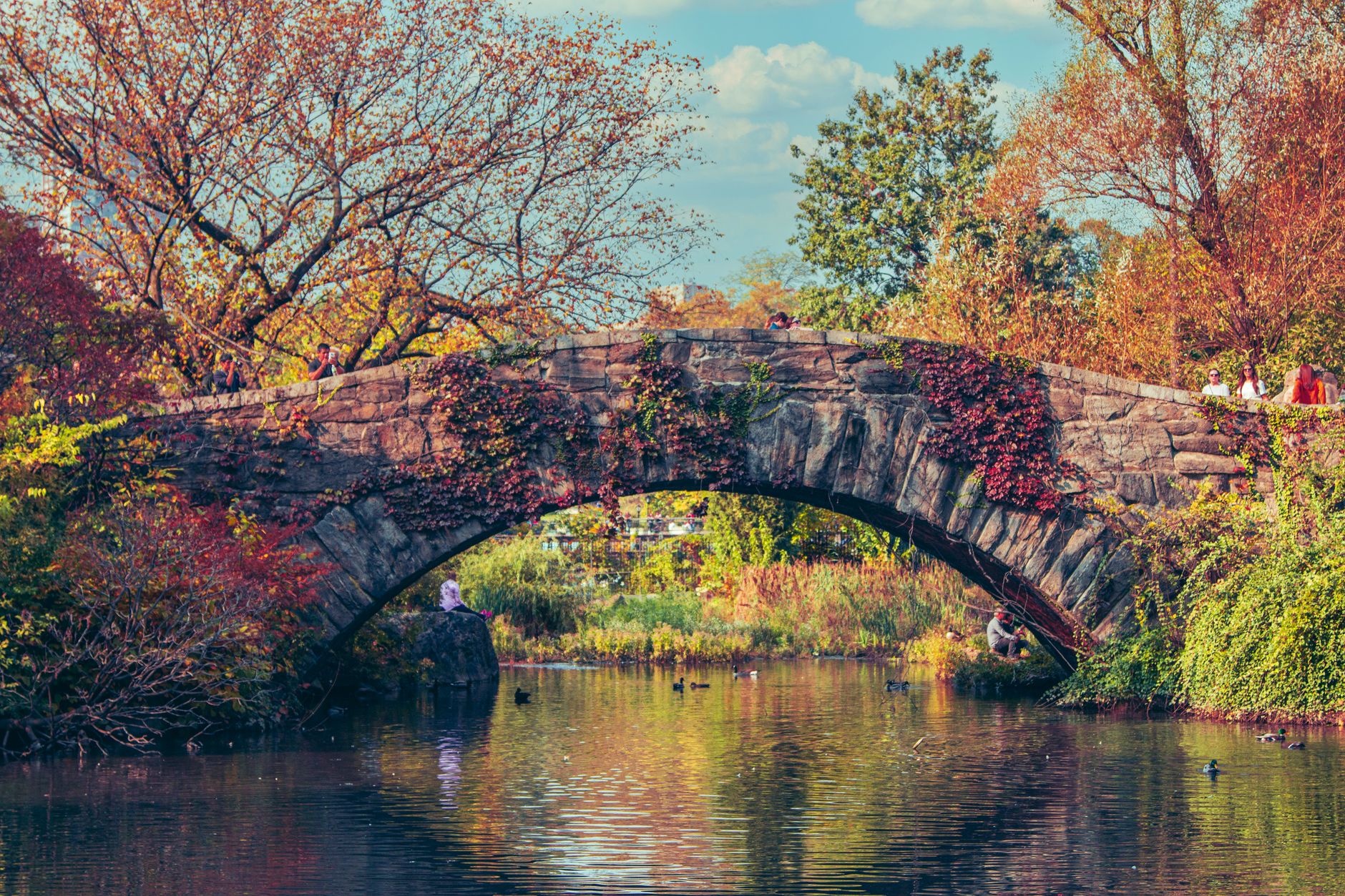 Central Park