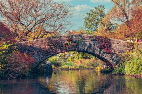 Free Scenic View of a Bridge over a River with Trees in Autumn Colors  Stock Photo