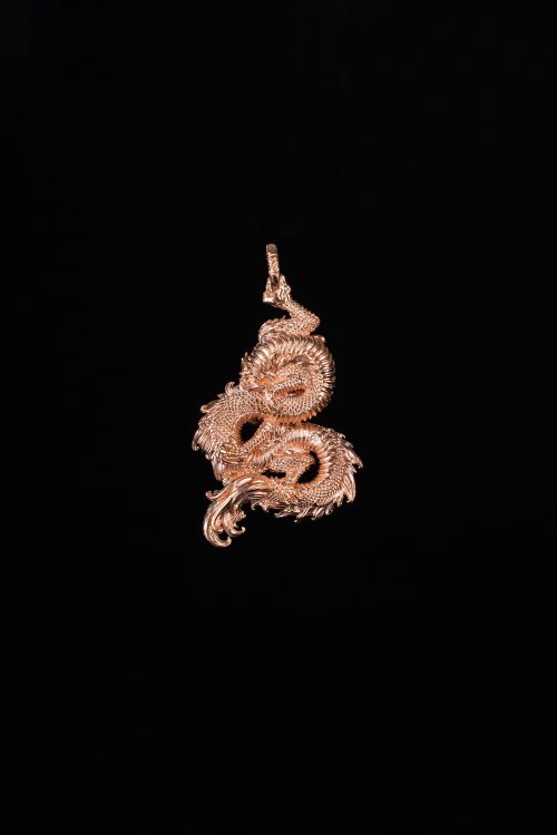 Free Stunning coppertist wu dragon pendant with intricate design, perfect for elegance. Stock Photo