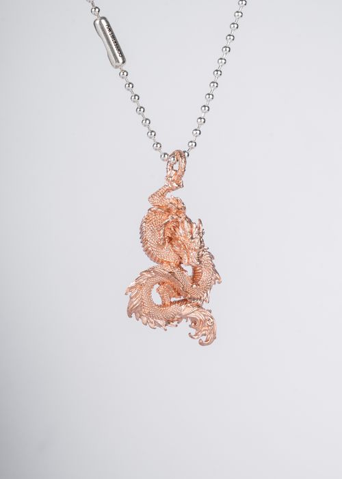 Free Close-up of a detailed dragon pendant necklace with a white background for elegant display. Stock Photo