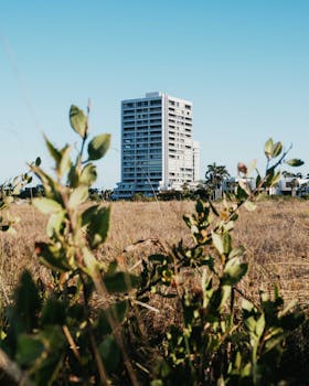 High-rise building seen through grassy field and foliage under clear blue sky, urban nature contrast.