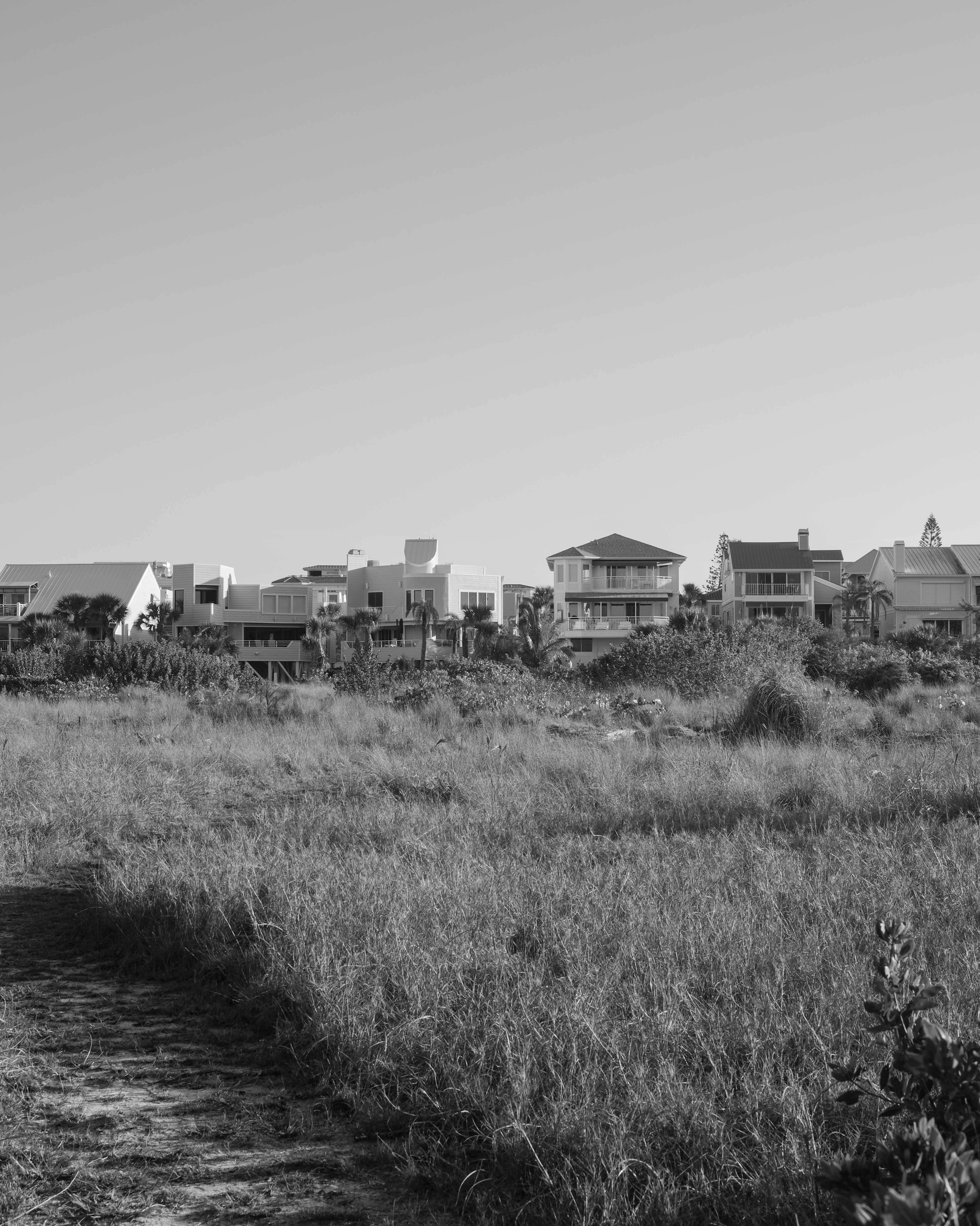 Black and white photo of houses along a grassy coastal area under a clear sky.